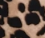 leopard dnme